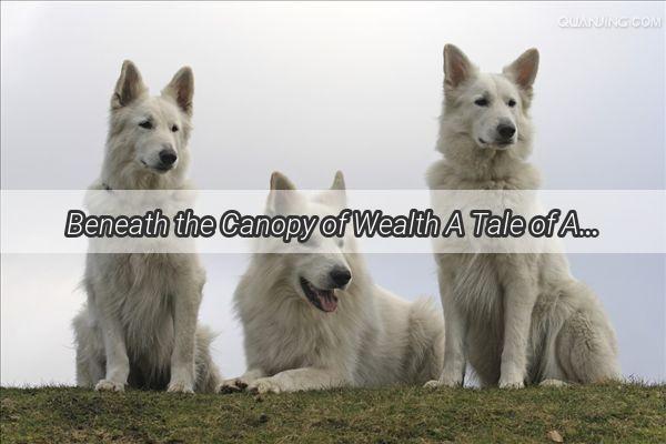 Beneath the Canopy of Wealth A Tale of Aristocratic Pups and the Lives They Weave